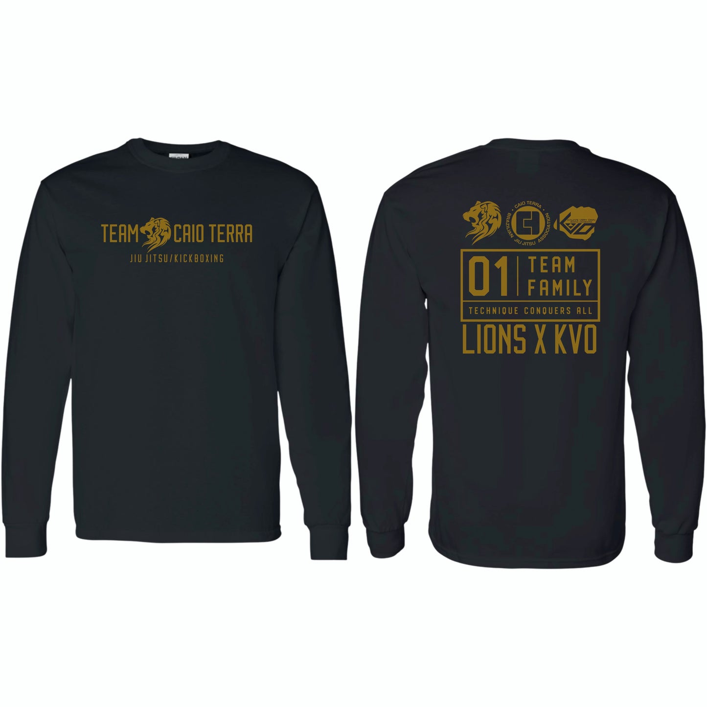 Team Lions JiuJitsu/Kickboxing