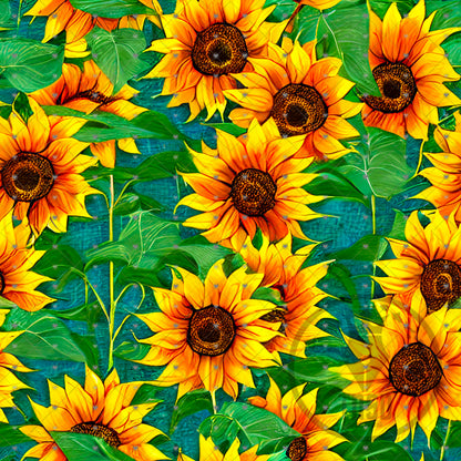 Sunflower Frenzy